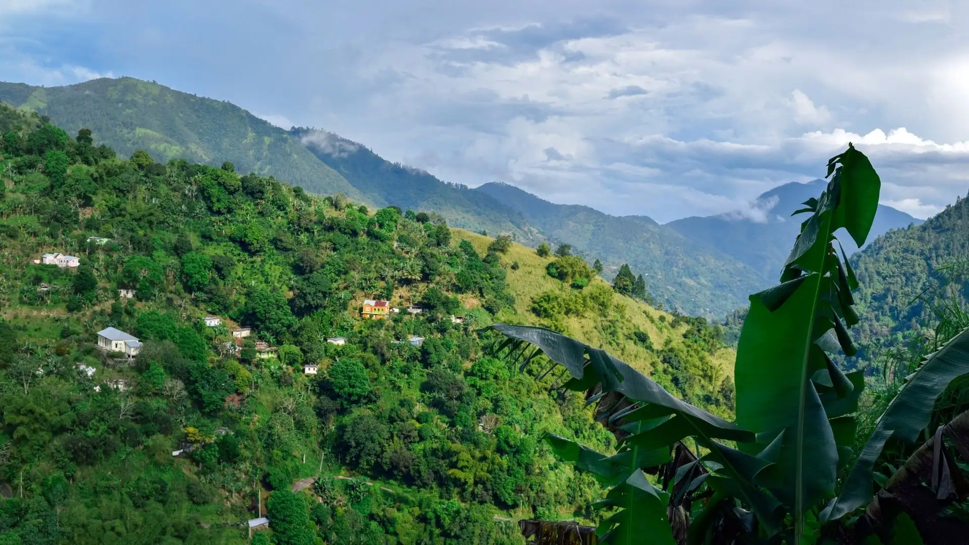 Homes scattered across lush green mountainsides in the Caribbean, with misty peaks in the distance.